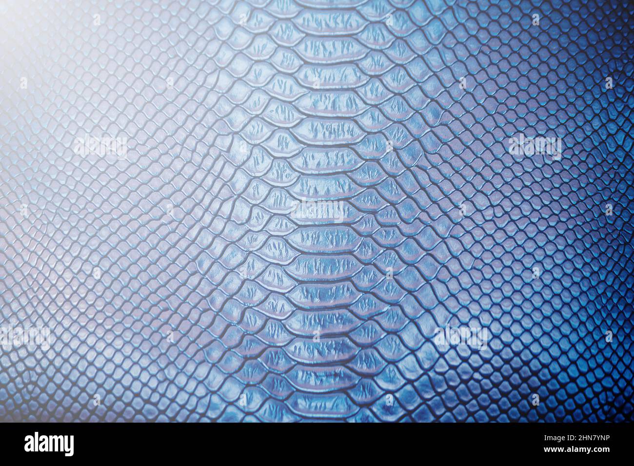 Close up of Luxury snake skin texture use for background Stock Photo