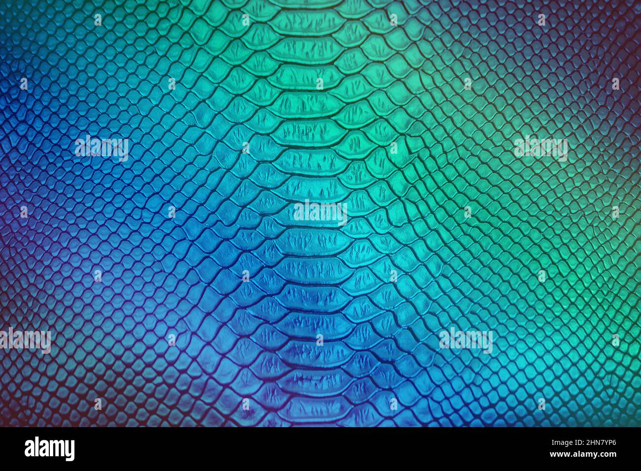 Close up of Luxury snake skin texture use for background Stock Photo ...