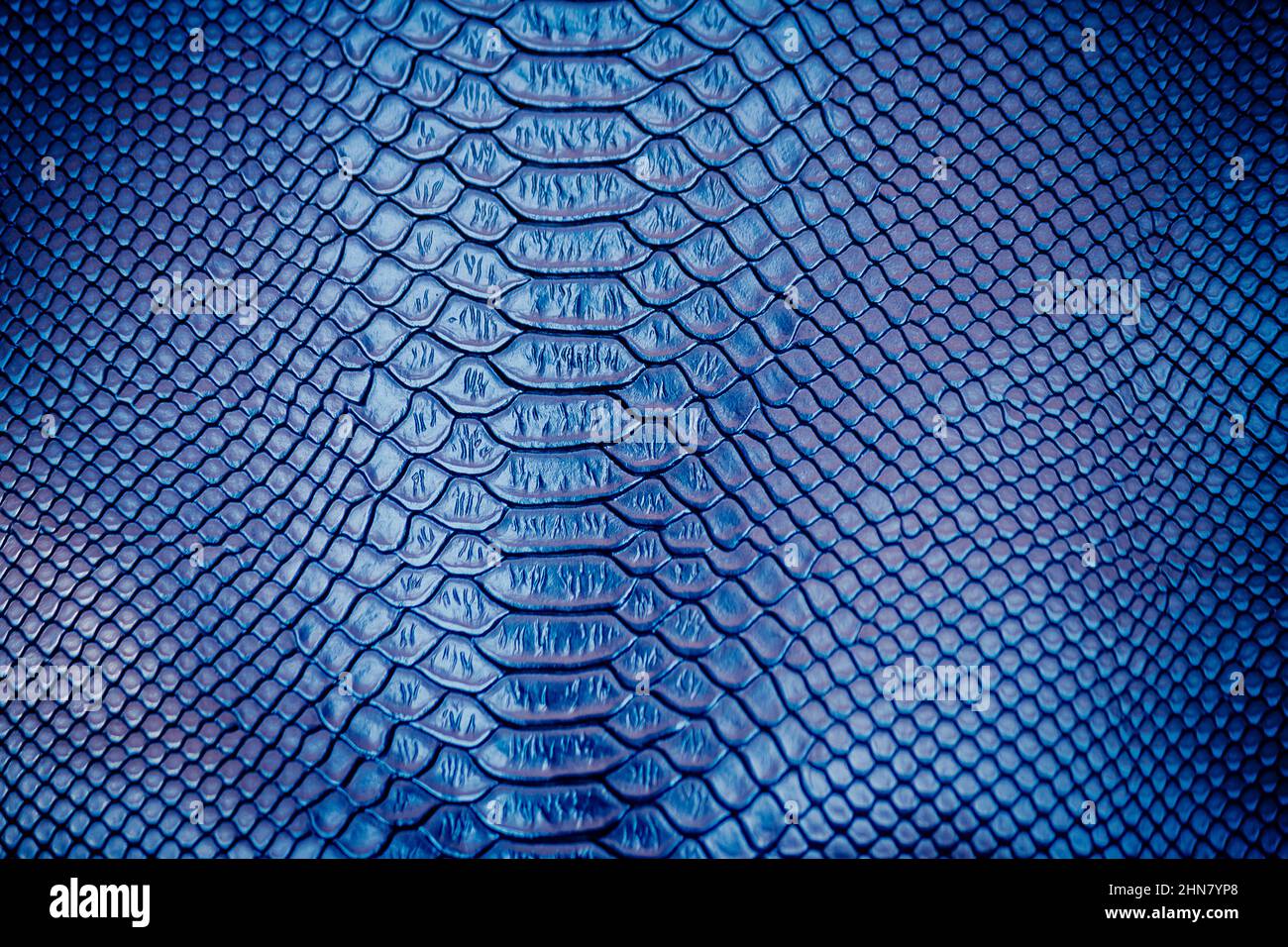 Close up of Luxury snake skin texture use for background Stock Photo ...