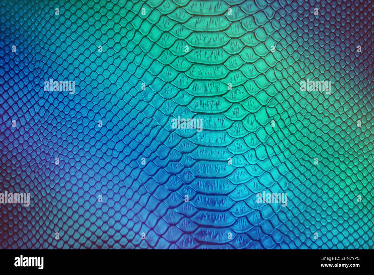 Close up of Luxury snake skin texture use for background Stock Photo ...