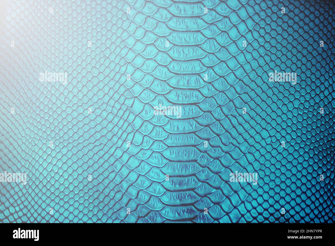 Close up of Luxury snake skin texture use for background Stock Photo ...