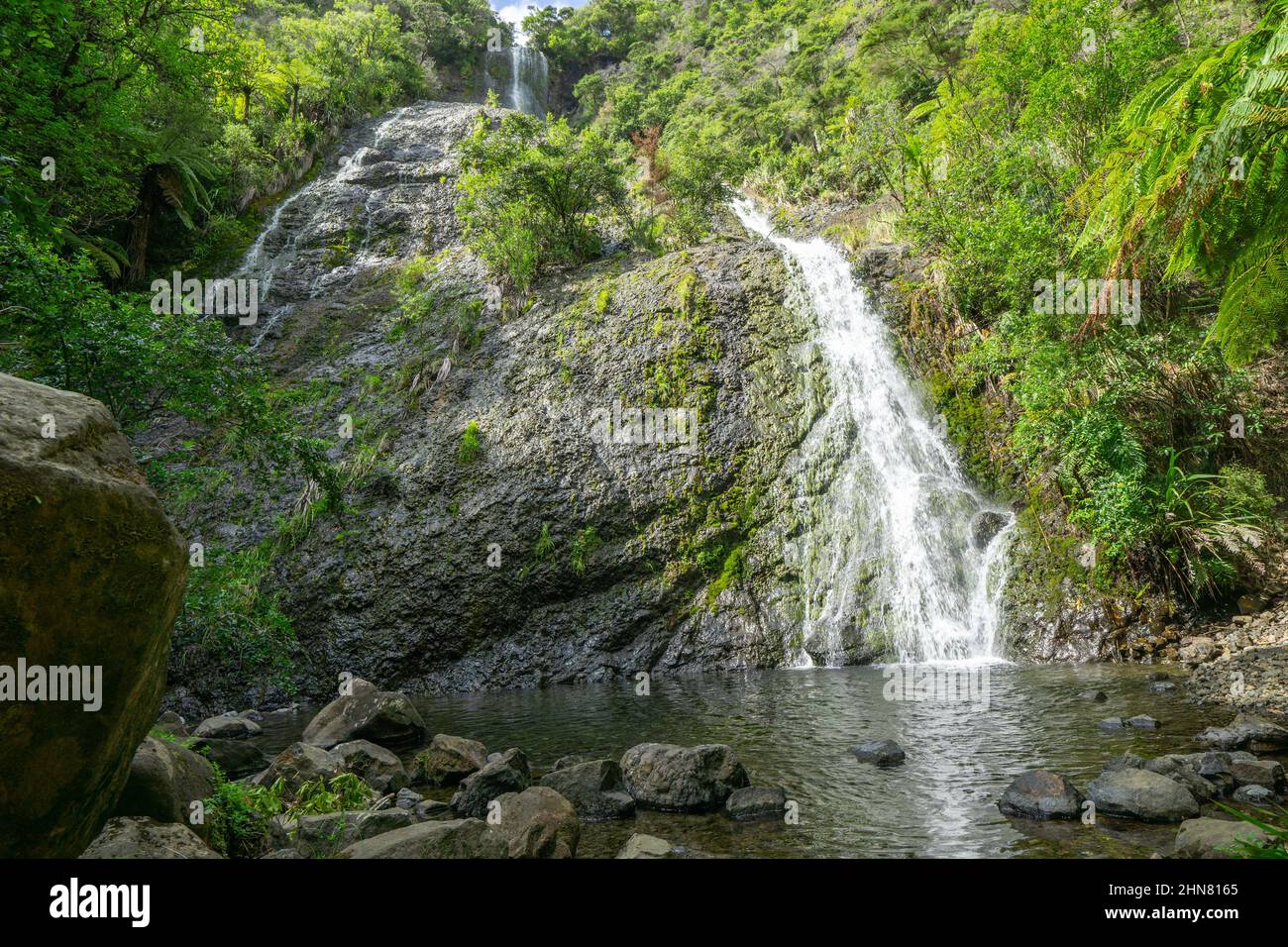 Scenic Waihirere Falls and bush off route 35 around east coast of North Island New Zealand. Stock Photo