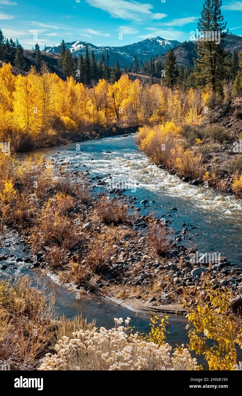 Carson River in the Sierra Nevadas of California USA flowing to Nevada and the Carson Valley Stock Photo