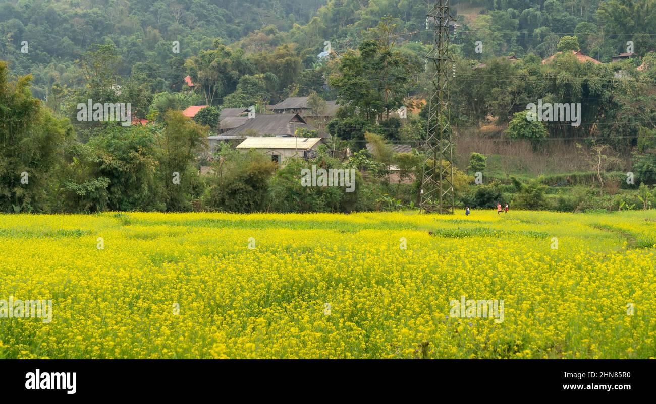 A village of ethnic minorities in Moc Chau Town, Son La Province, Vietnam Stock Photo