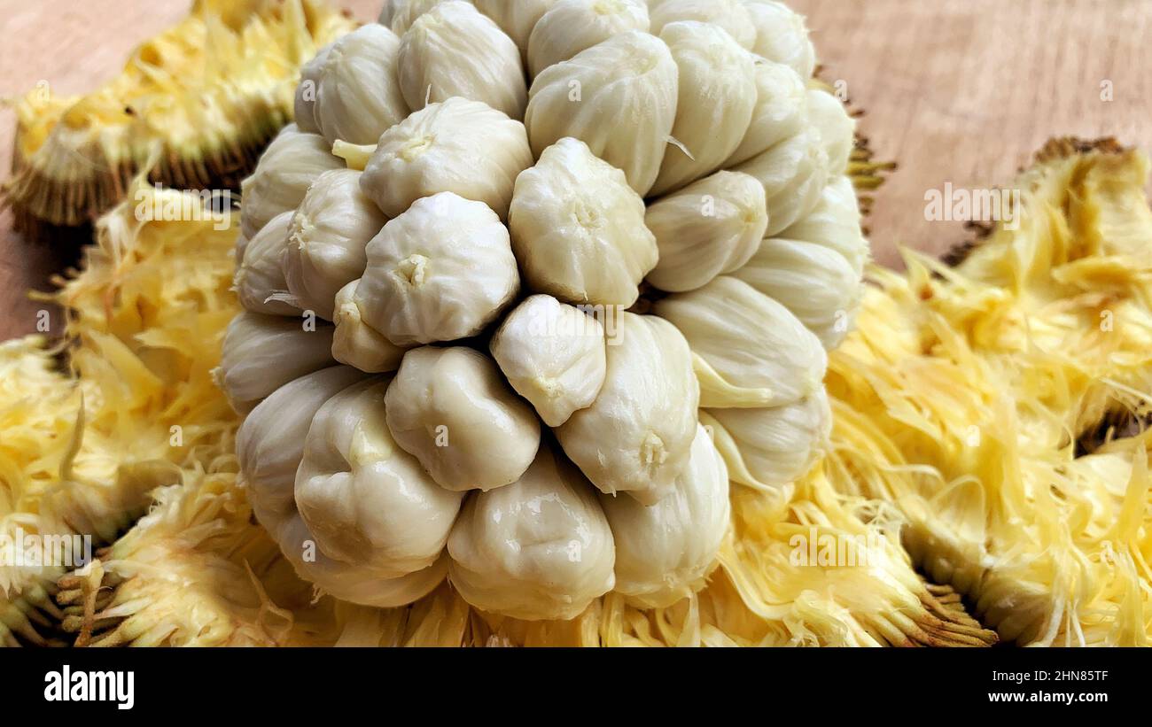 Close up view of Tarap fruit of Borneo Sabah. Rare fruits concept Stock Photo