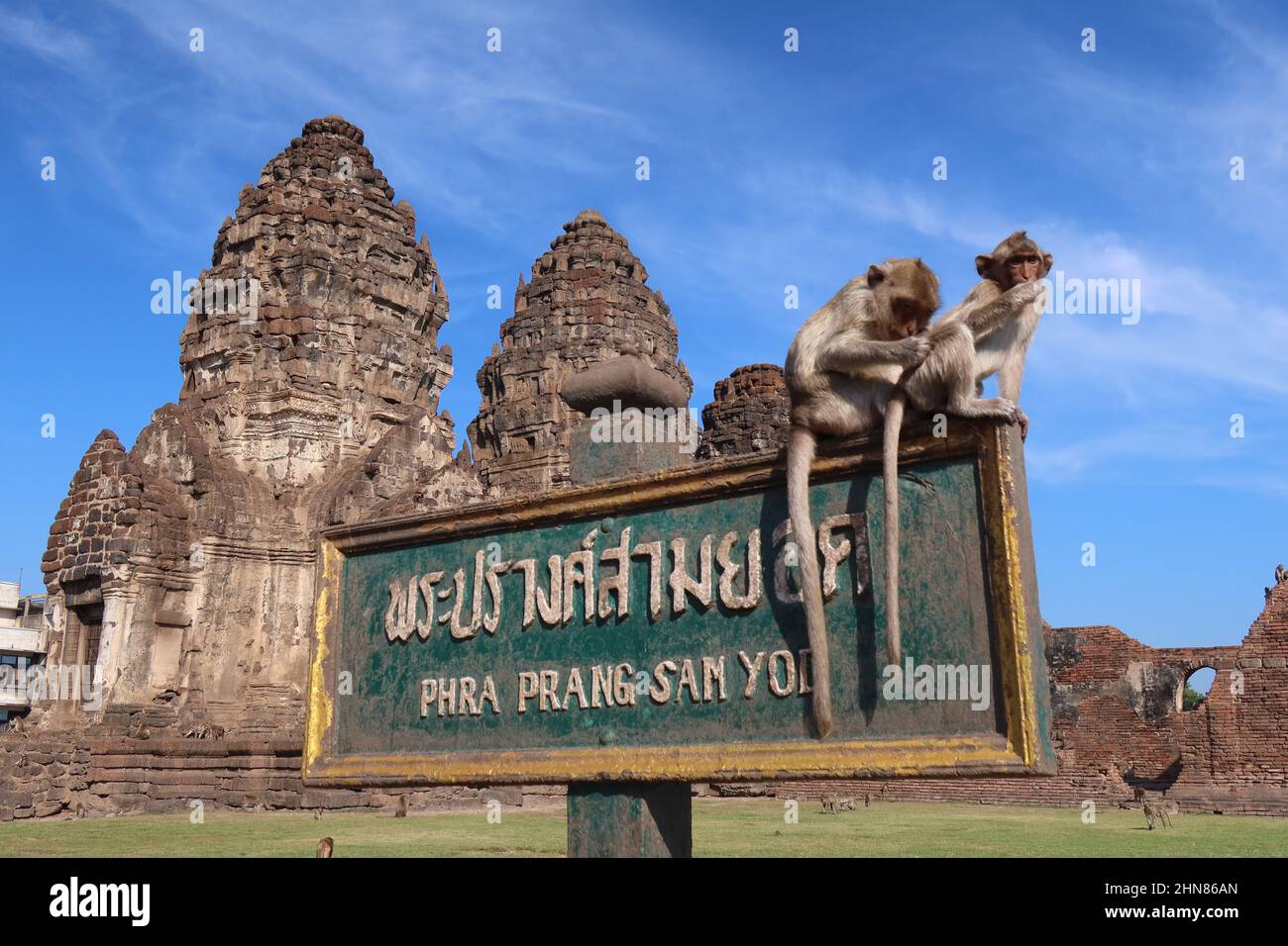 Monkeys grooming on temple sign board  Wat Phra Phang San Yot, Monkey Temple Lopburi, Thailand Stock Photo
