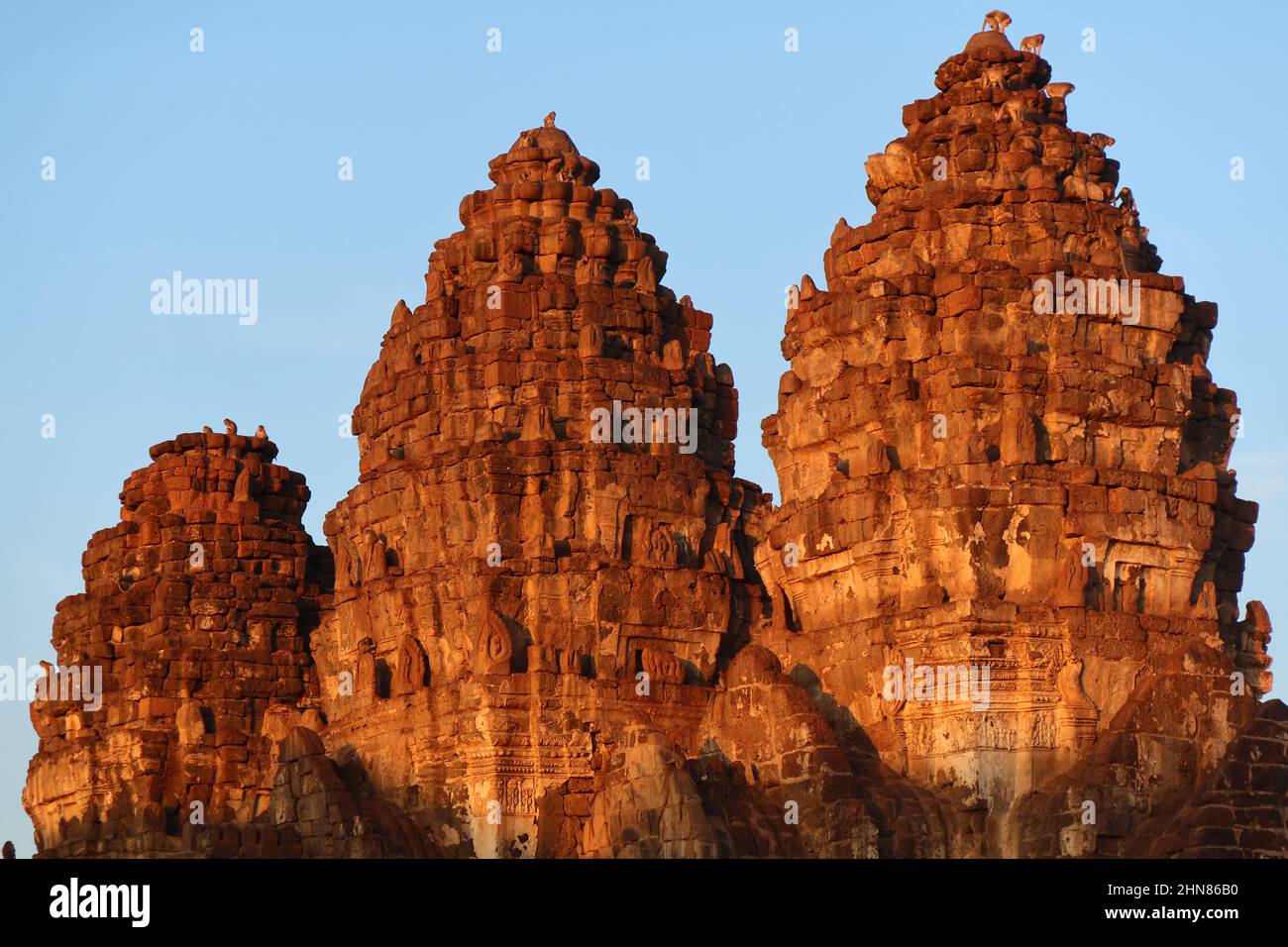 The Stupa’s in the Golden light with monkeys at Phra Prang Sam Yot Buddhist Temple, Lopburi, Thailand Stock Photo