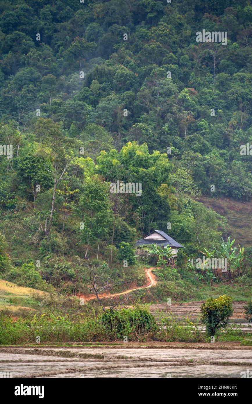 Moc Chau Town, Son La Province, Vietnam- January 16, 2022: A village of ethnic minorities in Moc Chau Town, Son La Province, Vietnam Stock Photo