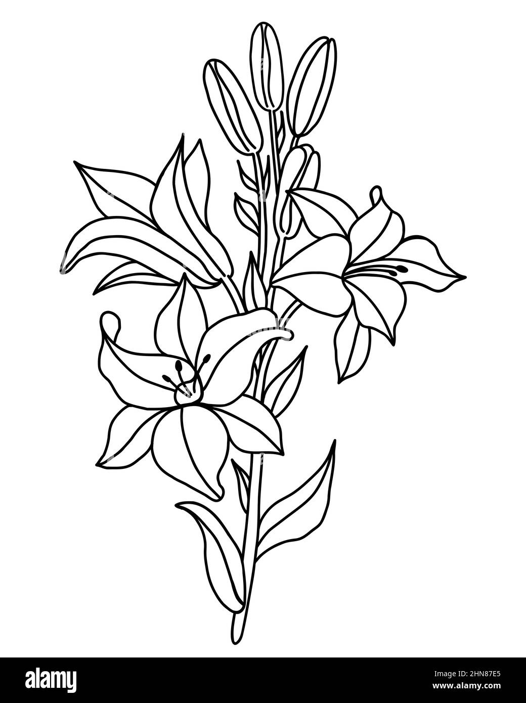 Black outline of lily flowers. Branch bouquet with flowers and buds. Vector illustration. isolated on white background. Ornamental plant for design Stock Vector
