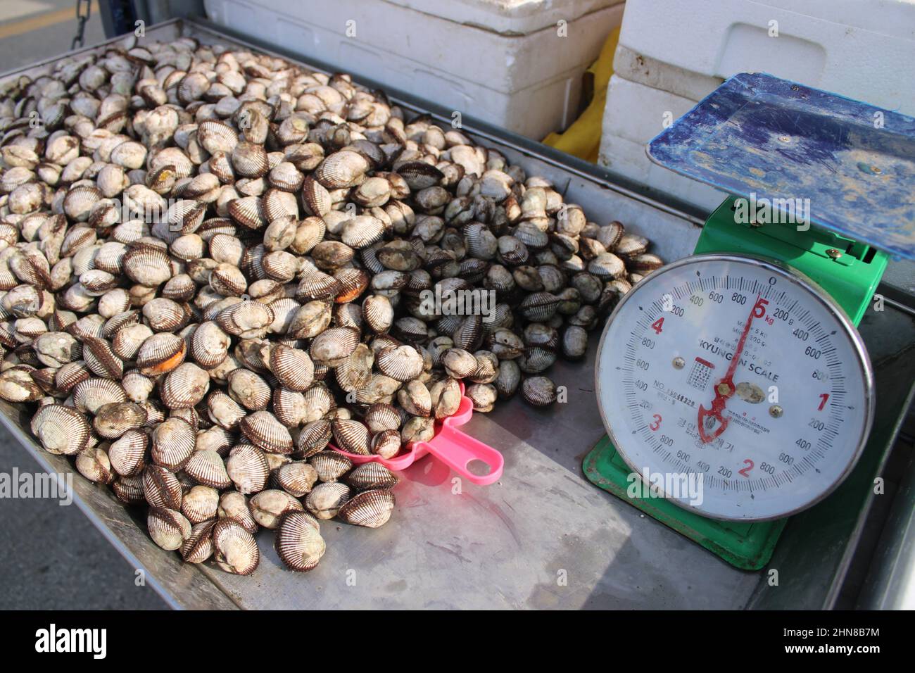 Sale of seafood hires stock photography and images Alamy