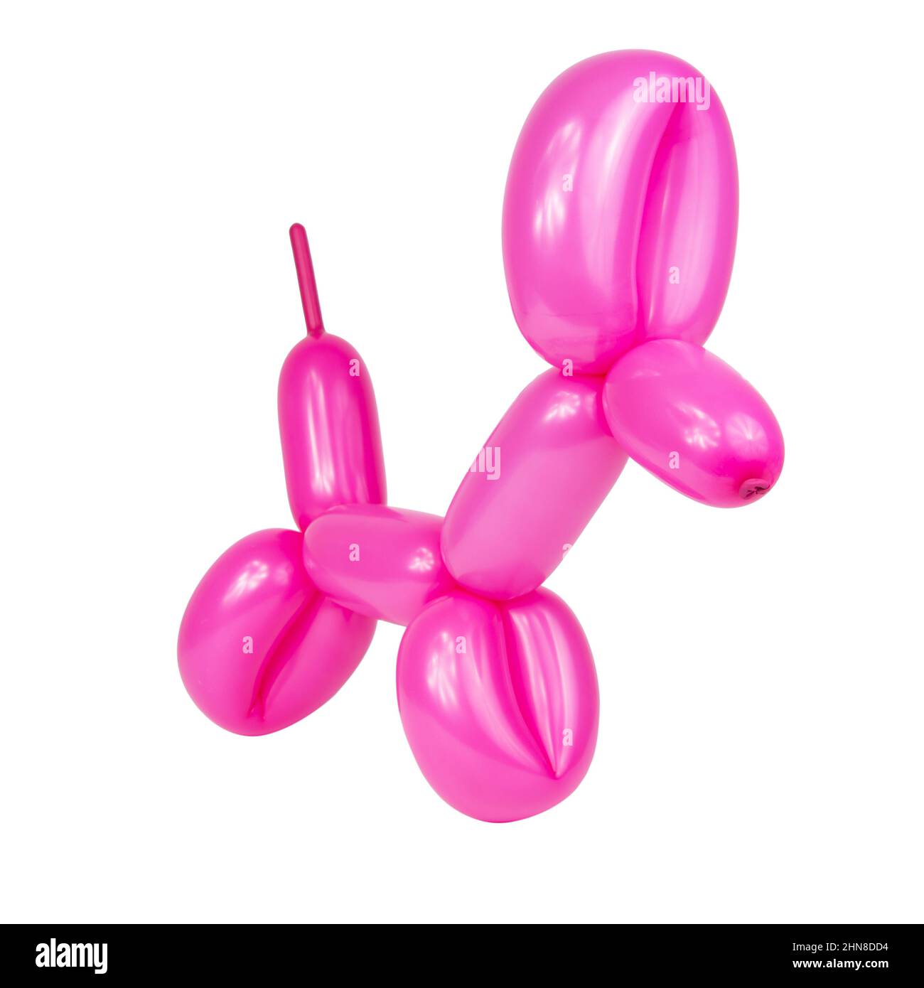 Party pink balloon dog isolated on the white background Stock Photo Alamy