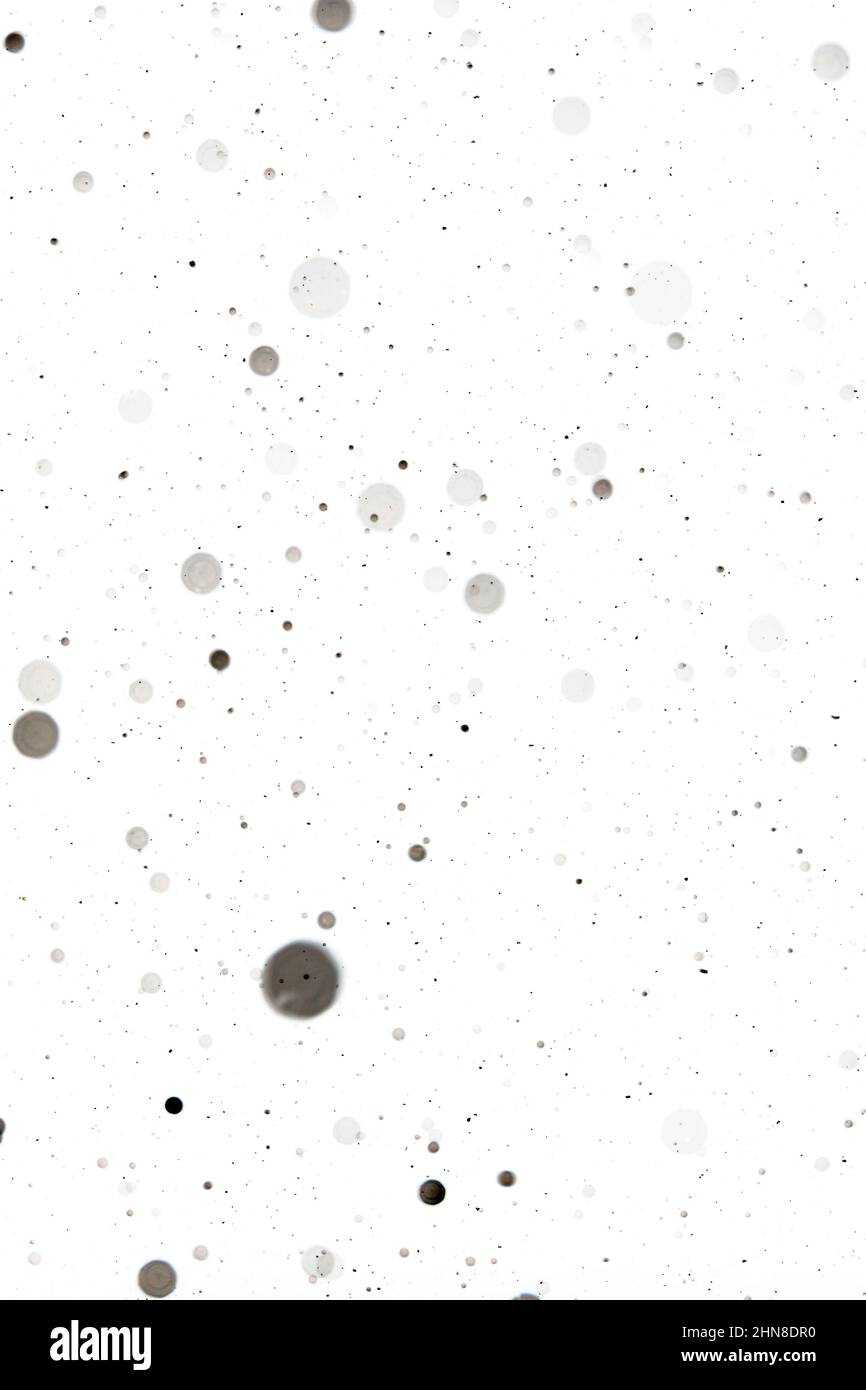 Gray spots against white. Bigger blurred grey spots and smaller spots or holes on white. Spotted abstract background. Stock Photo