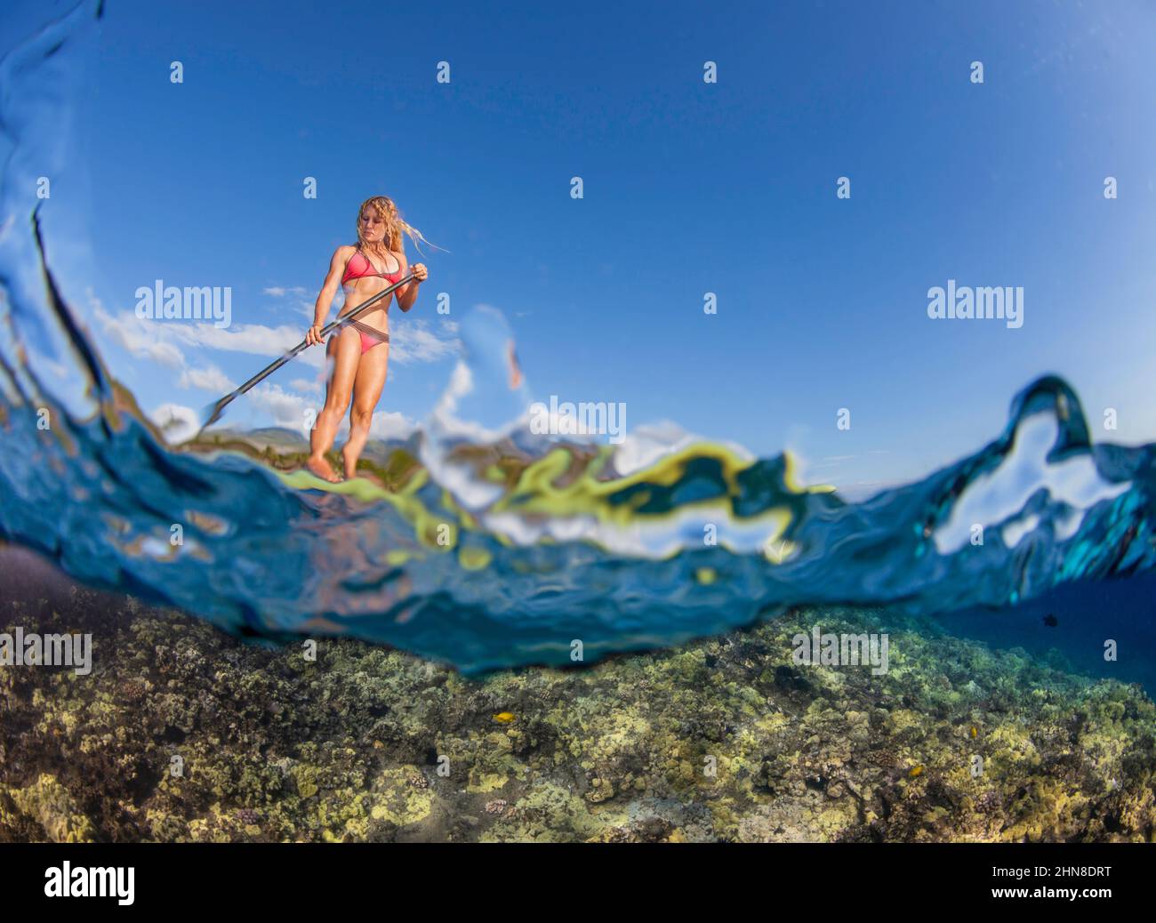 Surf instructor Tara Angioletti on a standup paddle board above a reef