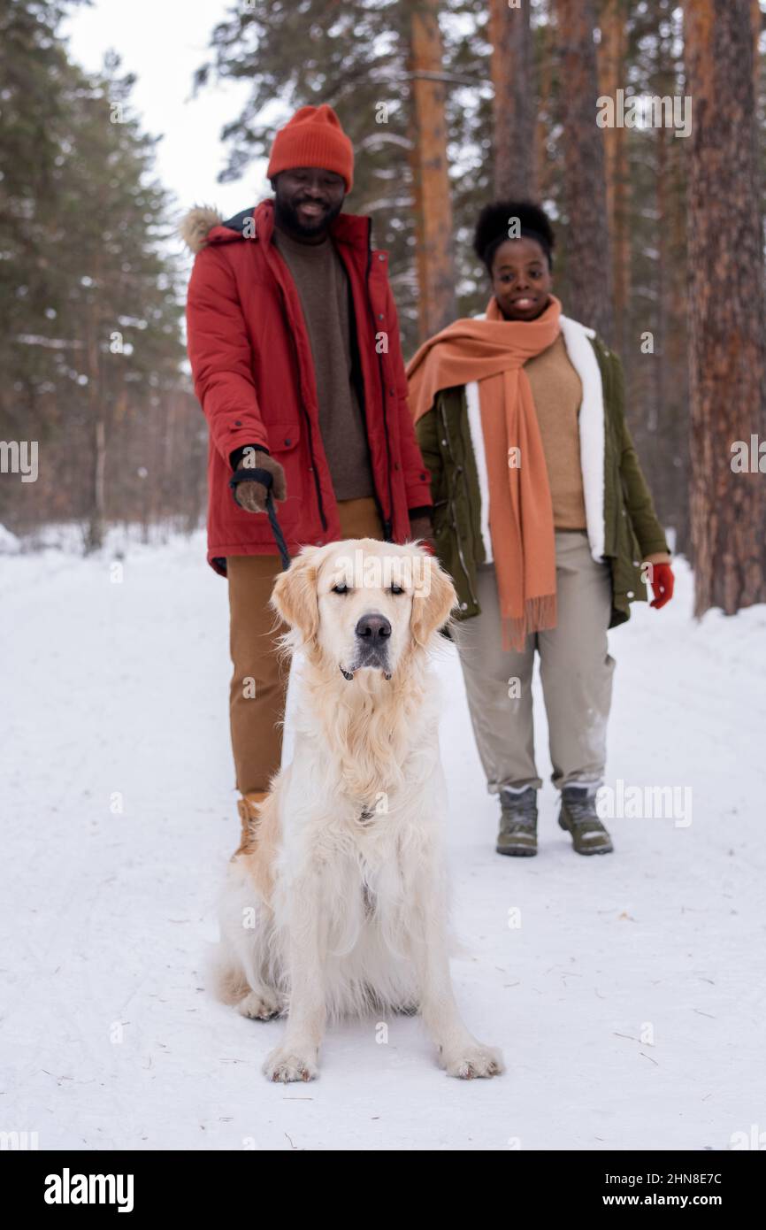 African young couple in warm clothing walking in the forest together with their dog during winter day Stock Photo