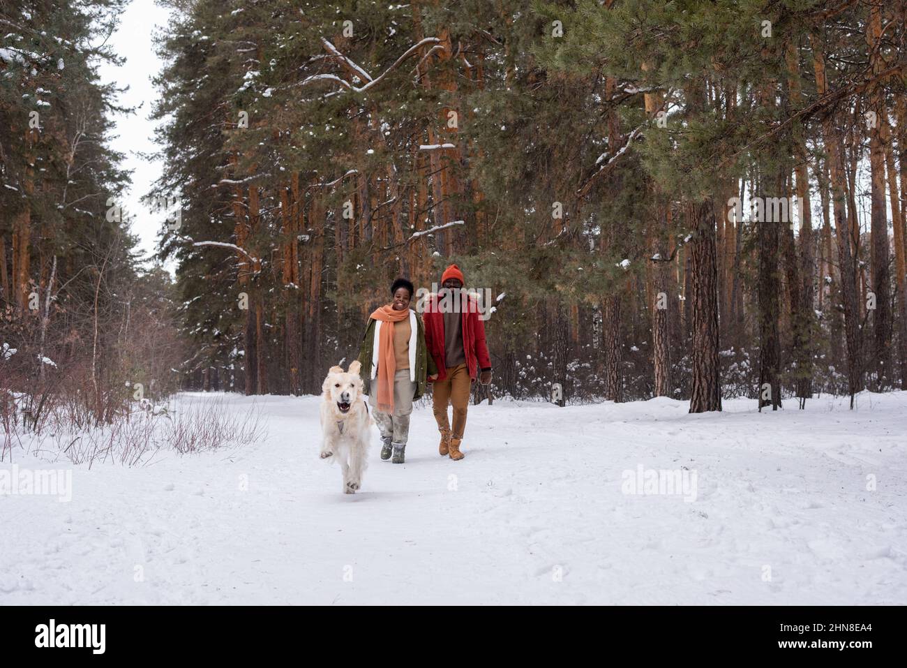Happy African couple in warm clothing walking along the path in winter forest with their running dog Stock Photo