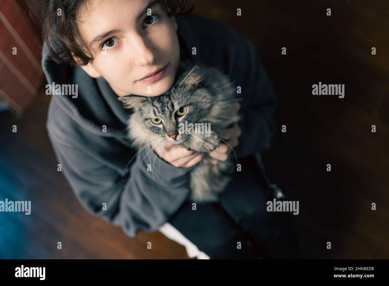 teenage girl in home casual sweatshirt sitting on floor, holds beloved pet gray cat in arms, hugs, shows love to animal. top down view. Stock Photo