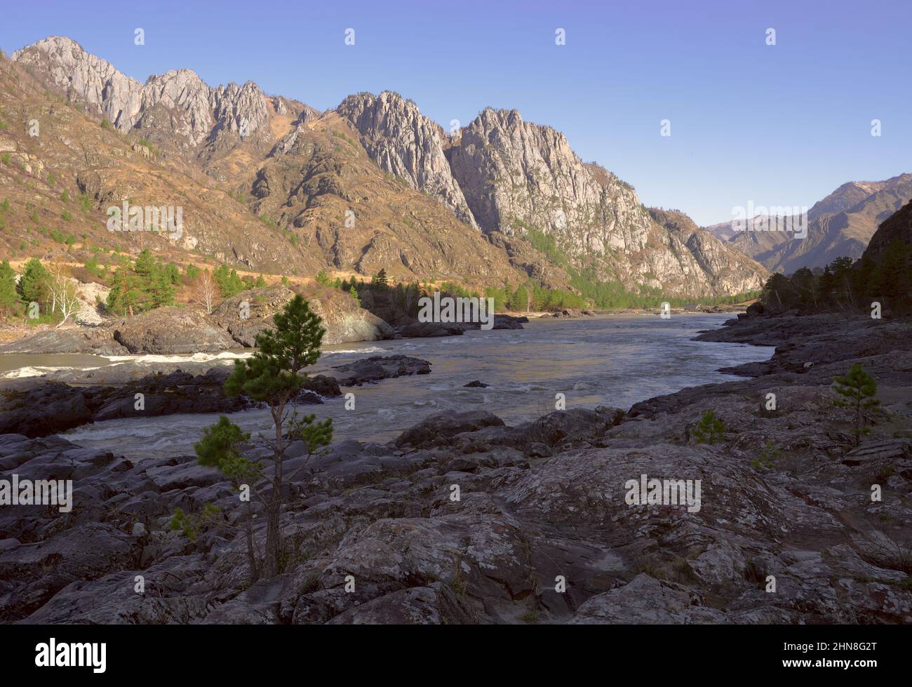 Layered colorful rocks on the Bank of a mountain river. Pine among the ...