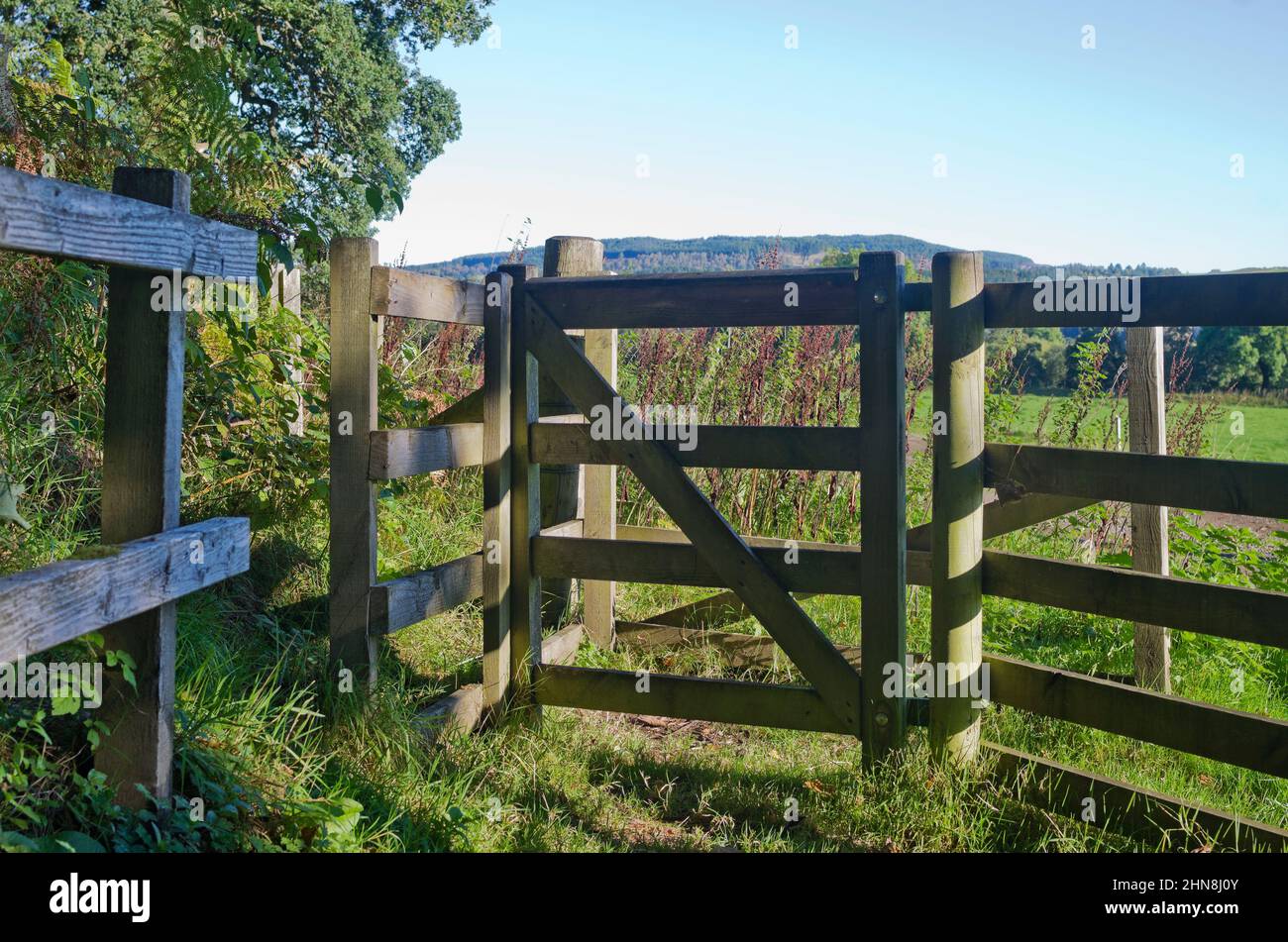 Traditional small wooden gate on footpath leading to field in valley farmland, Tayside, Perthshire, Scotland UK, sunny weather, early autumn. Stock Photo