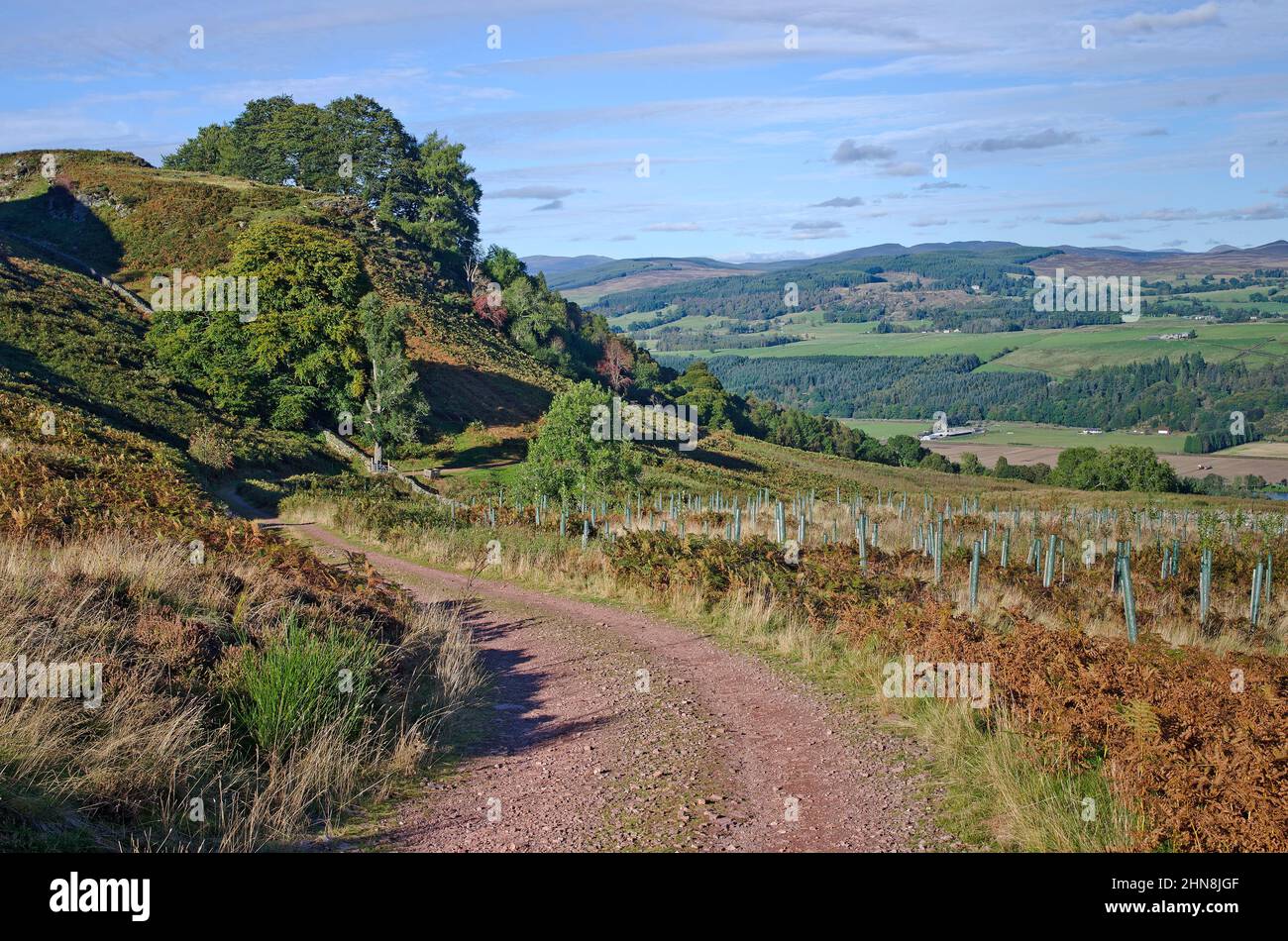 Moorland track on hillside above Tay valley, with views to hills across the valley, autumn, Tayside, Perthshire Scotland UK Stock Photo