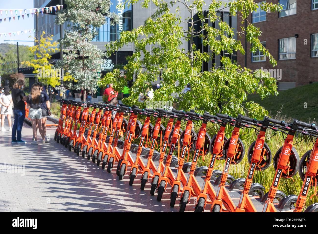 Canberra, shared orange e scooters from Neuron Mobility on the ANU university campus for student use,ACT,Australia Stock Photo