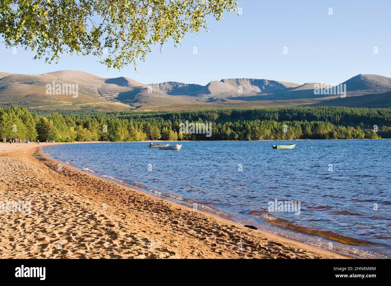 Sandy beach, Loch Morlich, Cairngorms, Scottish Highlands, sunny September afternoon, Glenmore Forest and the Northern Corries a scenic backdrop. Stock Photo