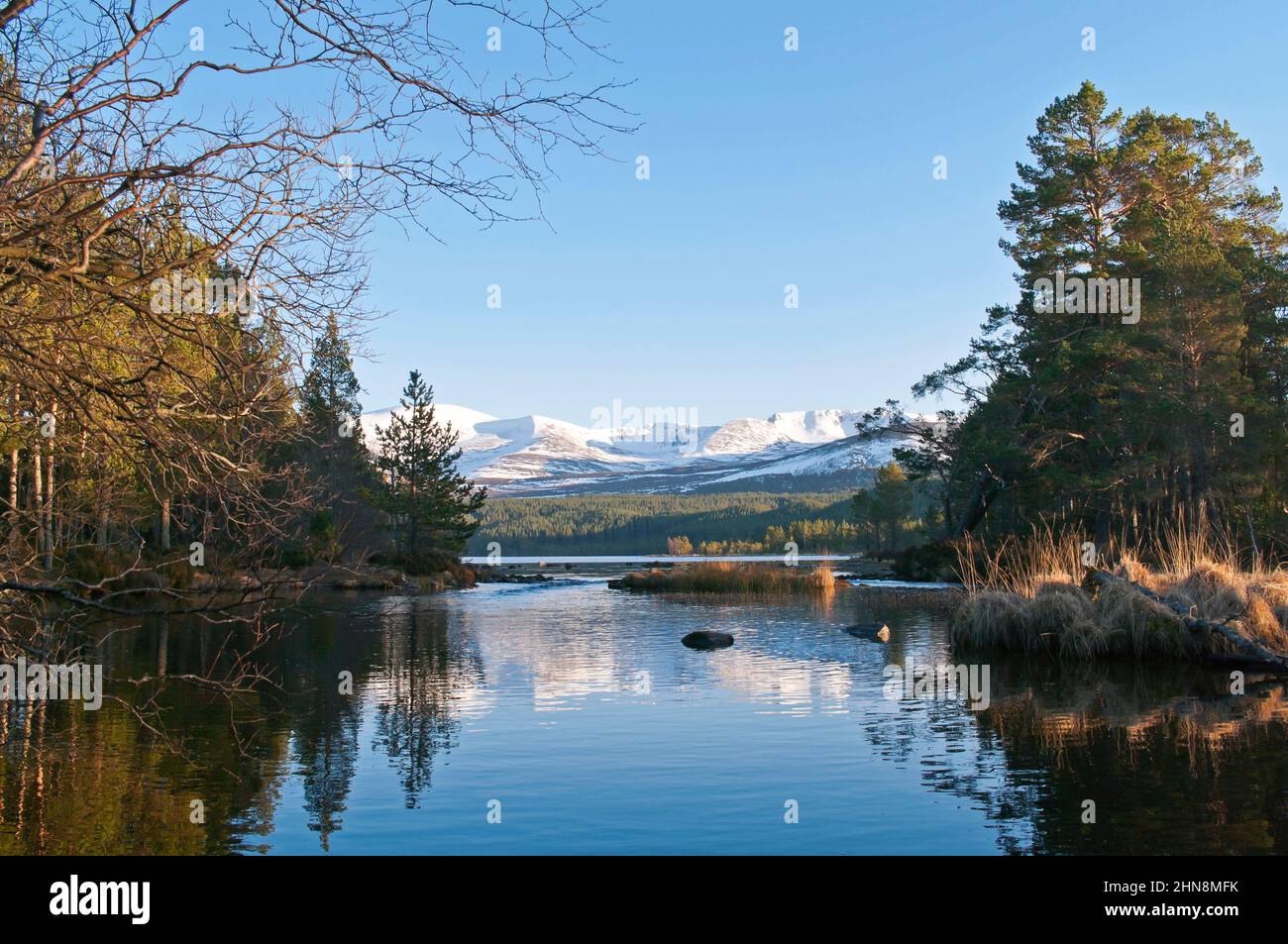 View over Loch Morlich to the Cairngorm Plateau and the Northern Corries in winter, Cairngorms National Park, Scottish Highlands, Scotland UK Stock Photo