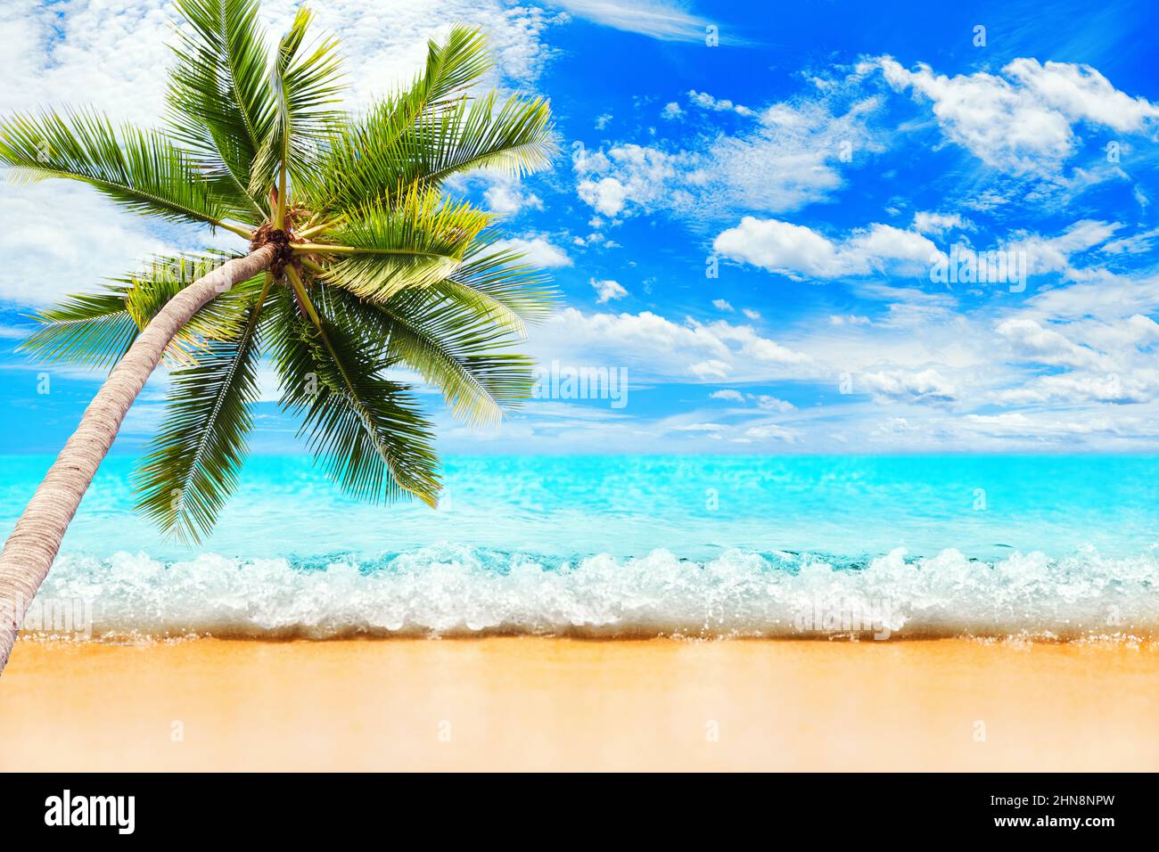 Tropical island sea beach landscape, green coconut palm tree leaves, turquoise ocean water wave sun blue sky white clouds yellow sand, summer holidays Stock Photo