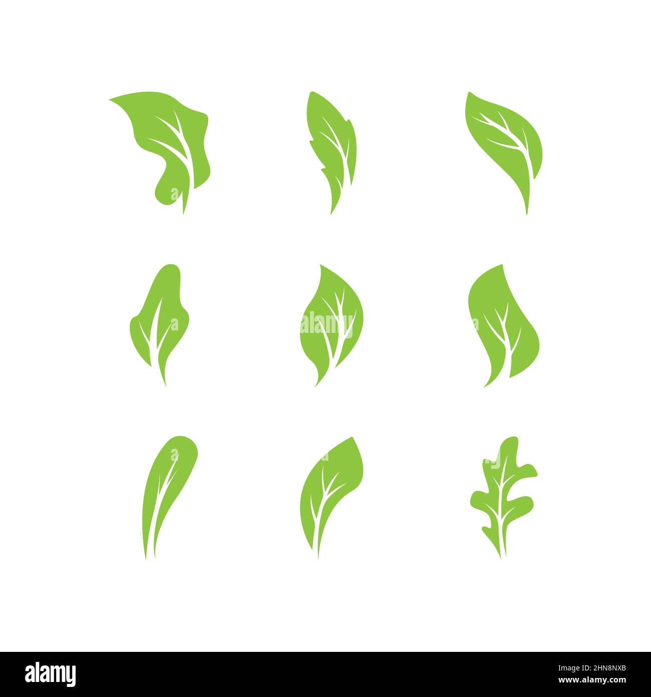 Green leaves logo.green leaf icons set vector template Stock Vector