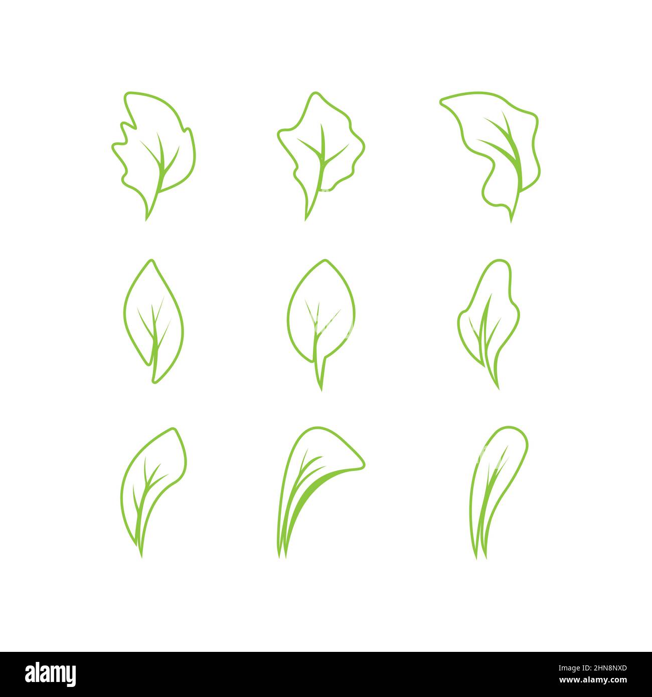 Green leaves logo.green leaf icons set vector template Stock Vector