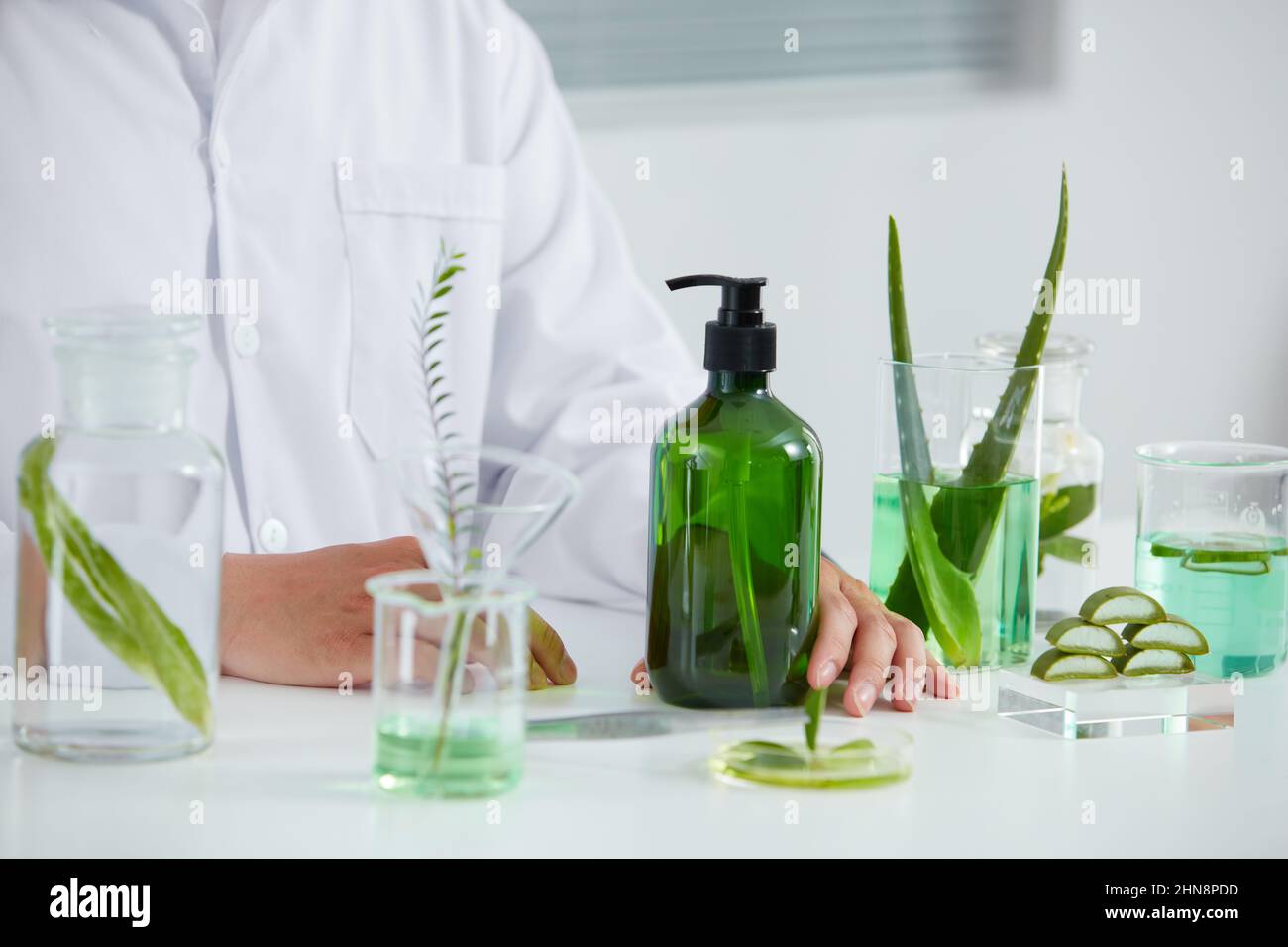 Aloe vera extract in laboratory , petri dish in a white background ...