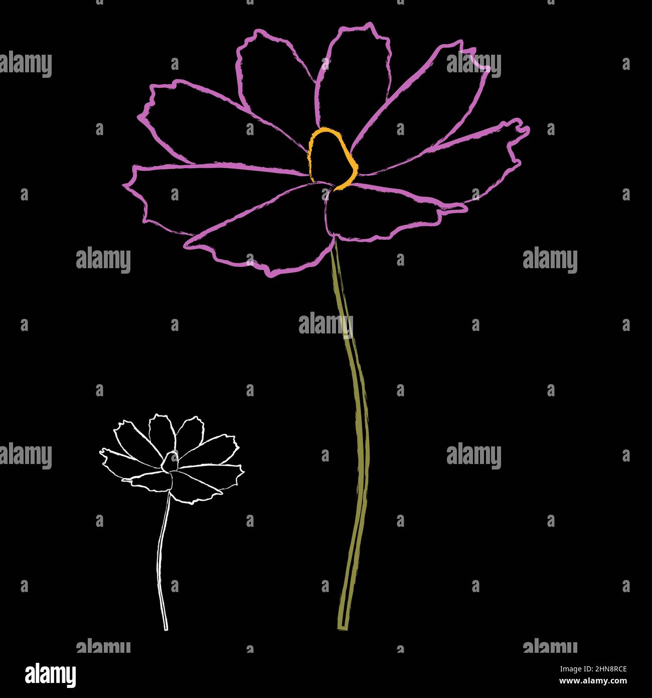 Set of chalk style cosmos flower branch vector illustration isolated on ...