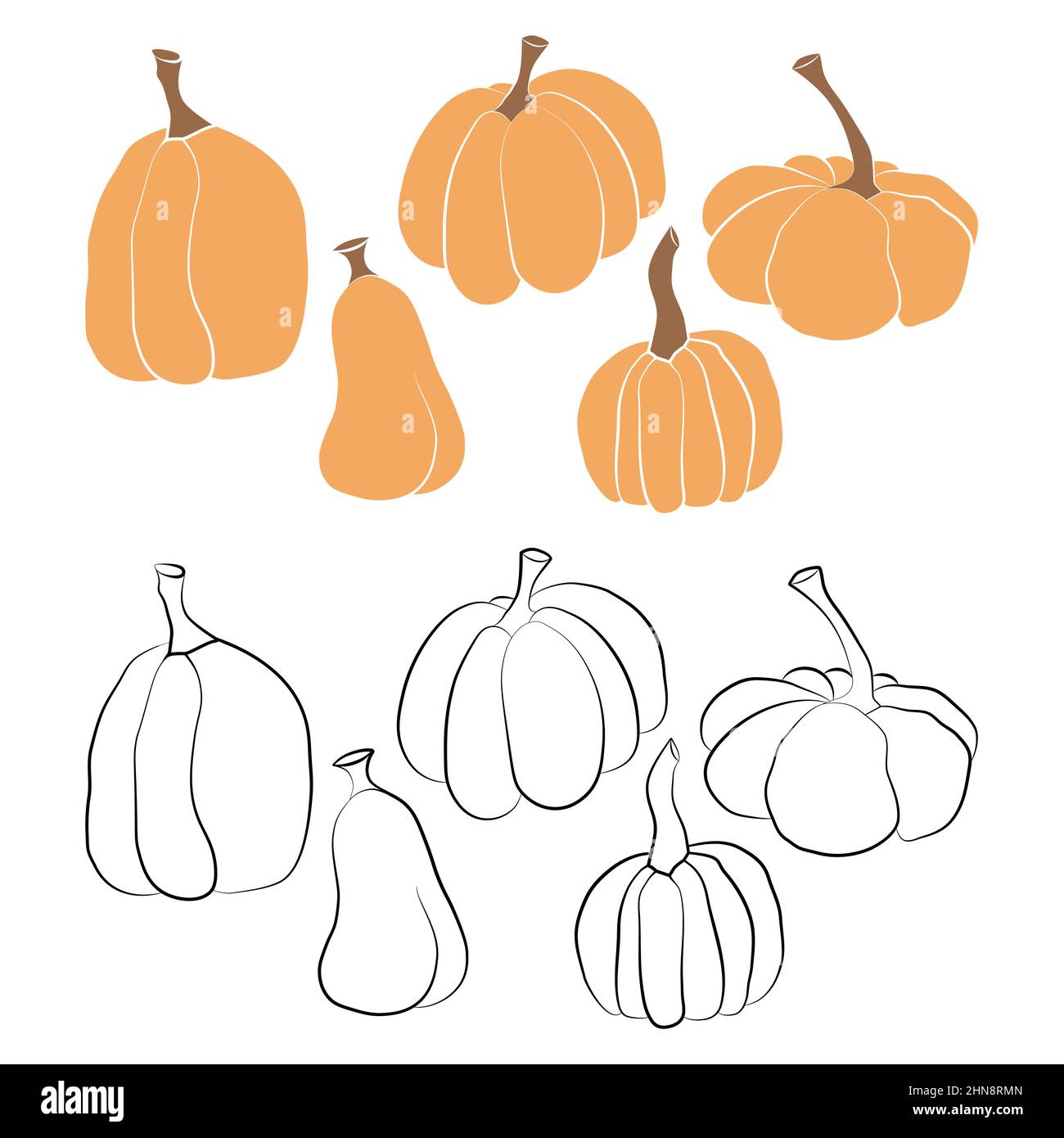 Pumpkin icon vector illustration set. Autumn Halloween or Thanksgiving ...