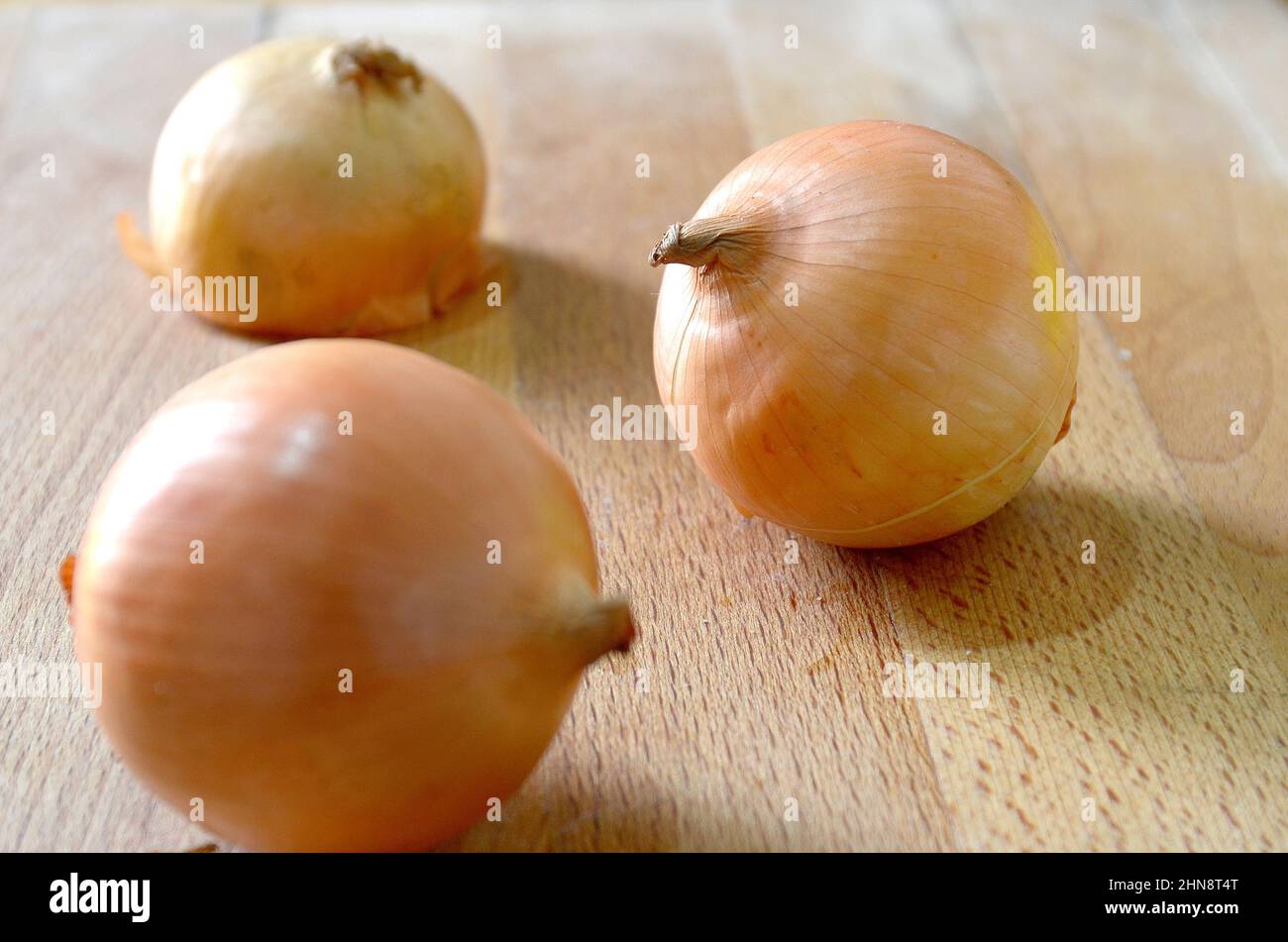 group of three onions. Good healthy food to eat raw or as ingredient