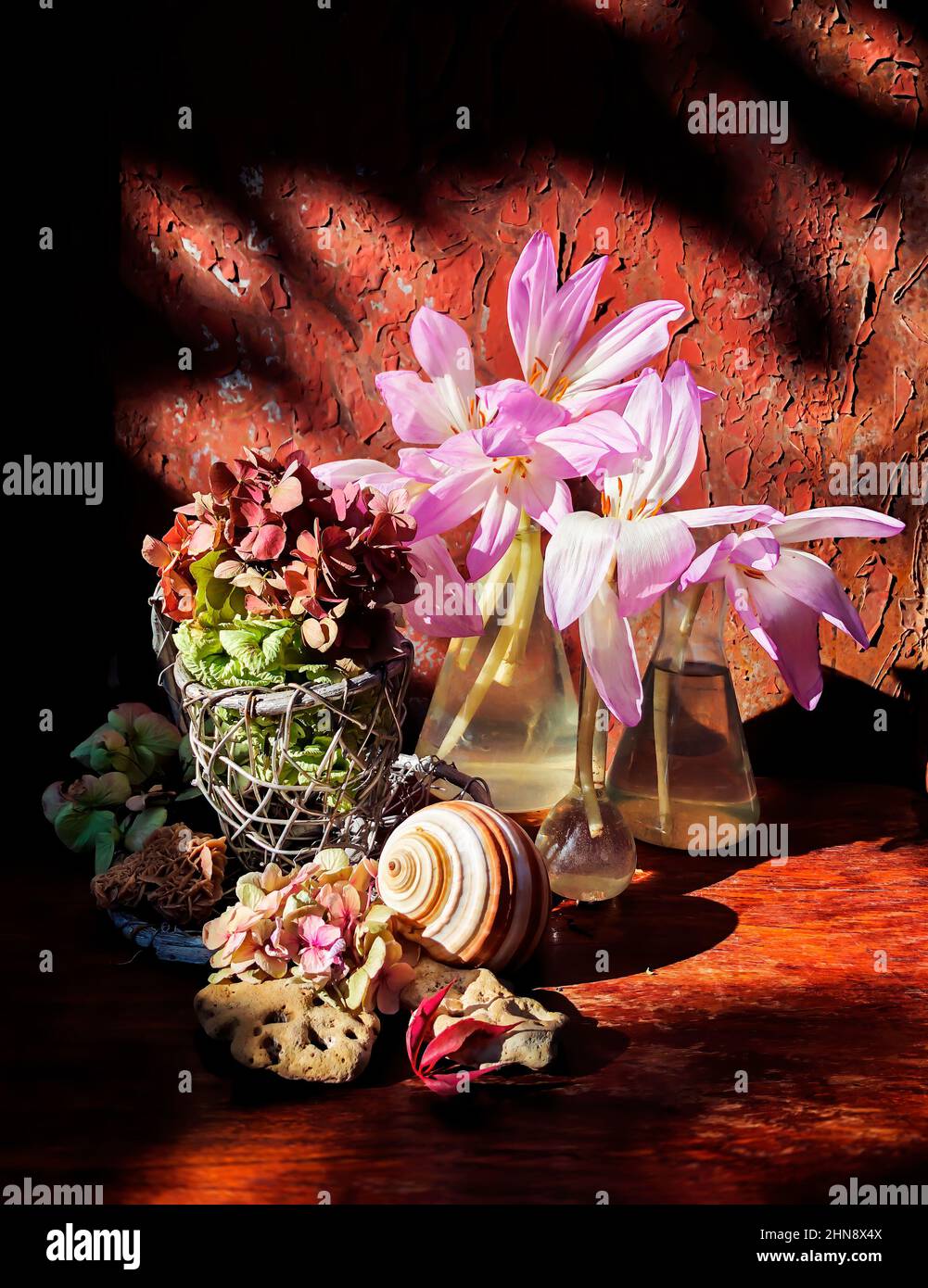 Autumn bouquet in a glass flask with Colchicum flowers, dry hydrangea flowers, sea shell and wild grape leaves in the rays of sunlight on an old rusty Stock Photo