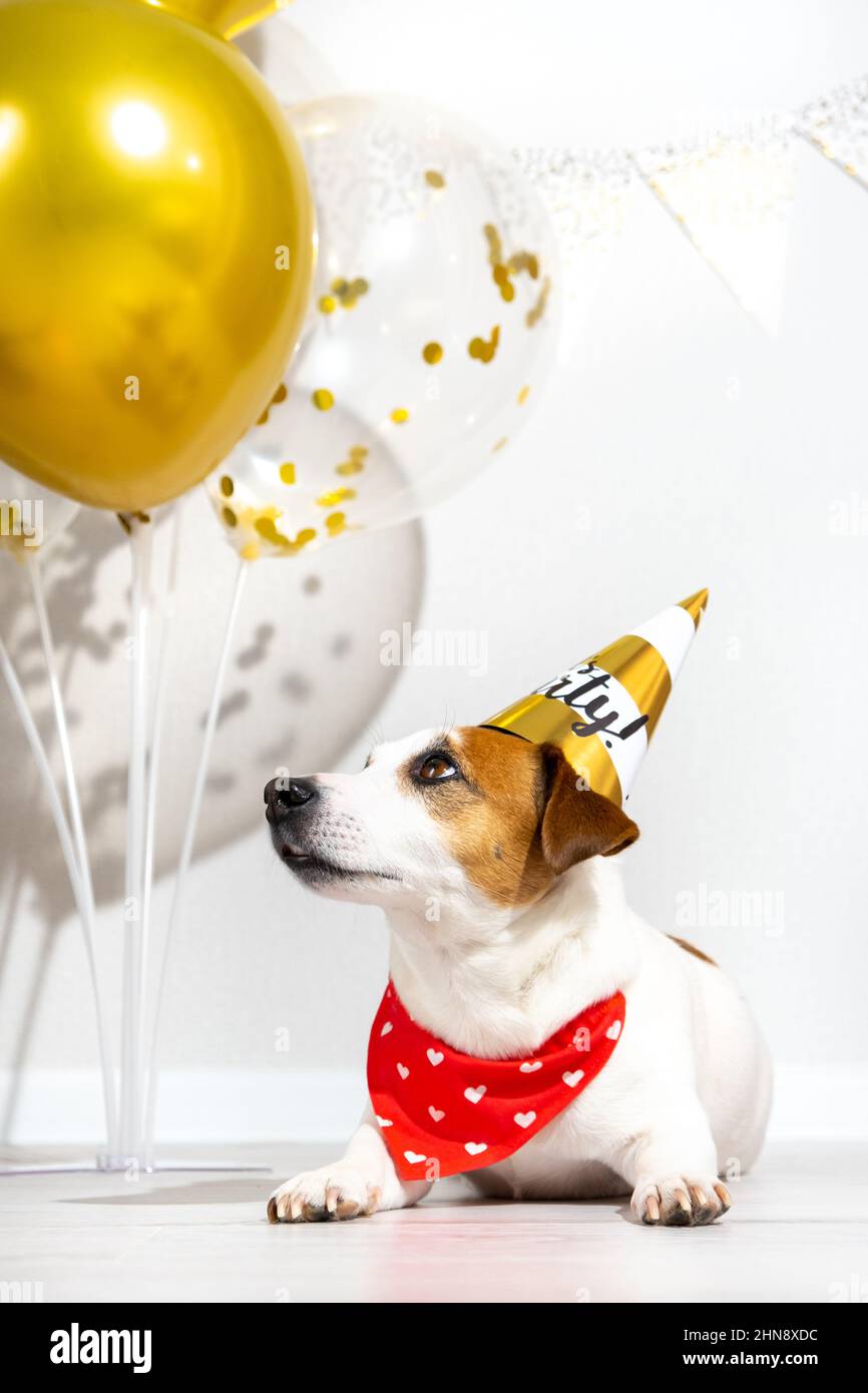 Lets party hi-res stock photography and images - Alamy