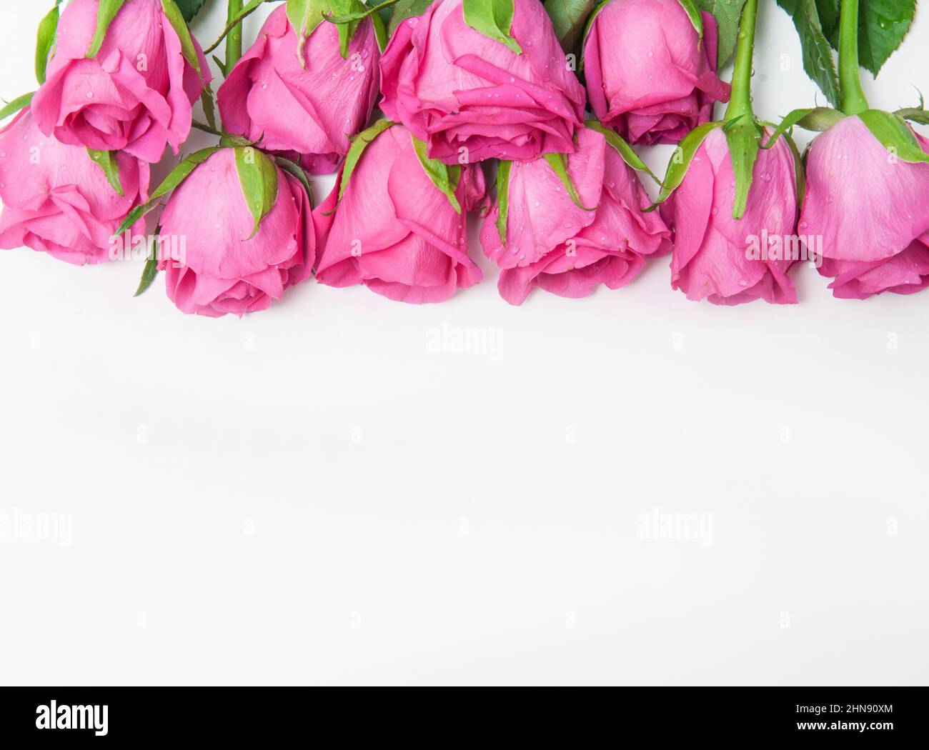 Bouquet of pink roses on a white background Stock Photo - Alamy