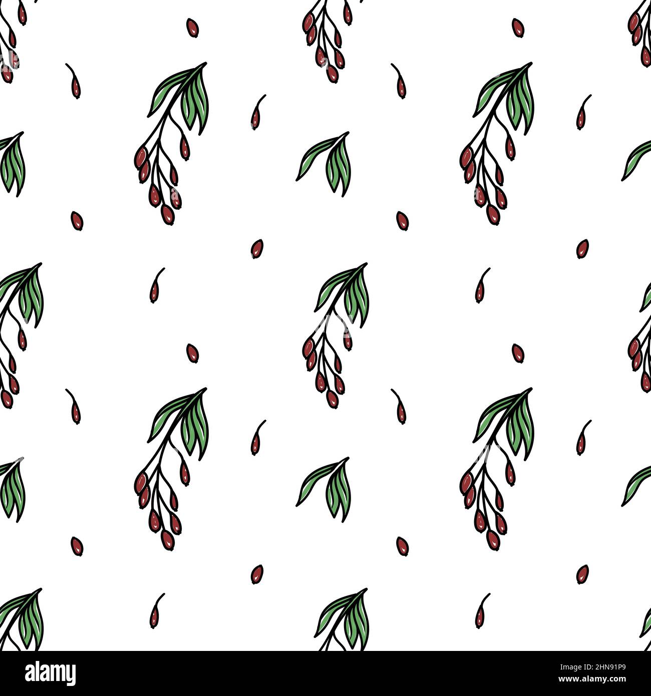 Seamless barberry pattern, drawn element in doodle style. Culinary ...