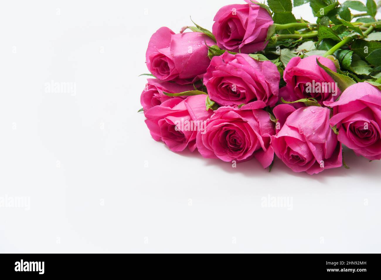 Bouquet of pink roses on a white background Stock Photo - Alamy