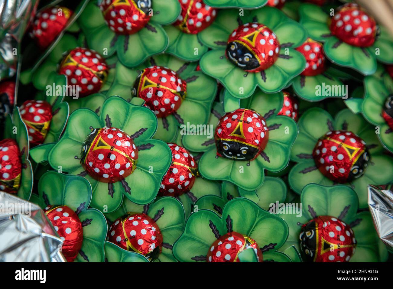 A basket full of lucky chocolate ladybirds on a four leaved clover. Stock Photo