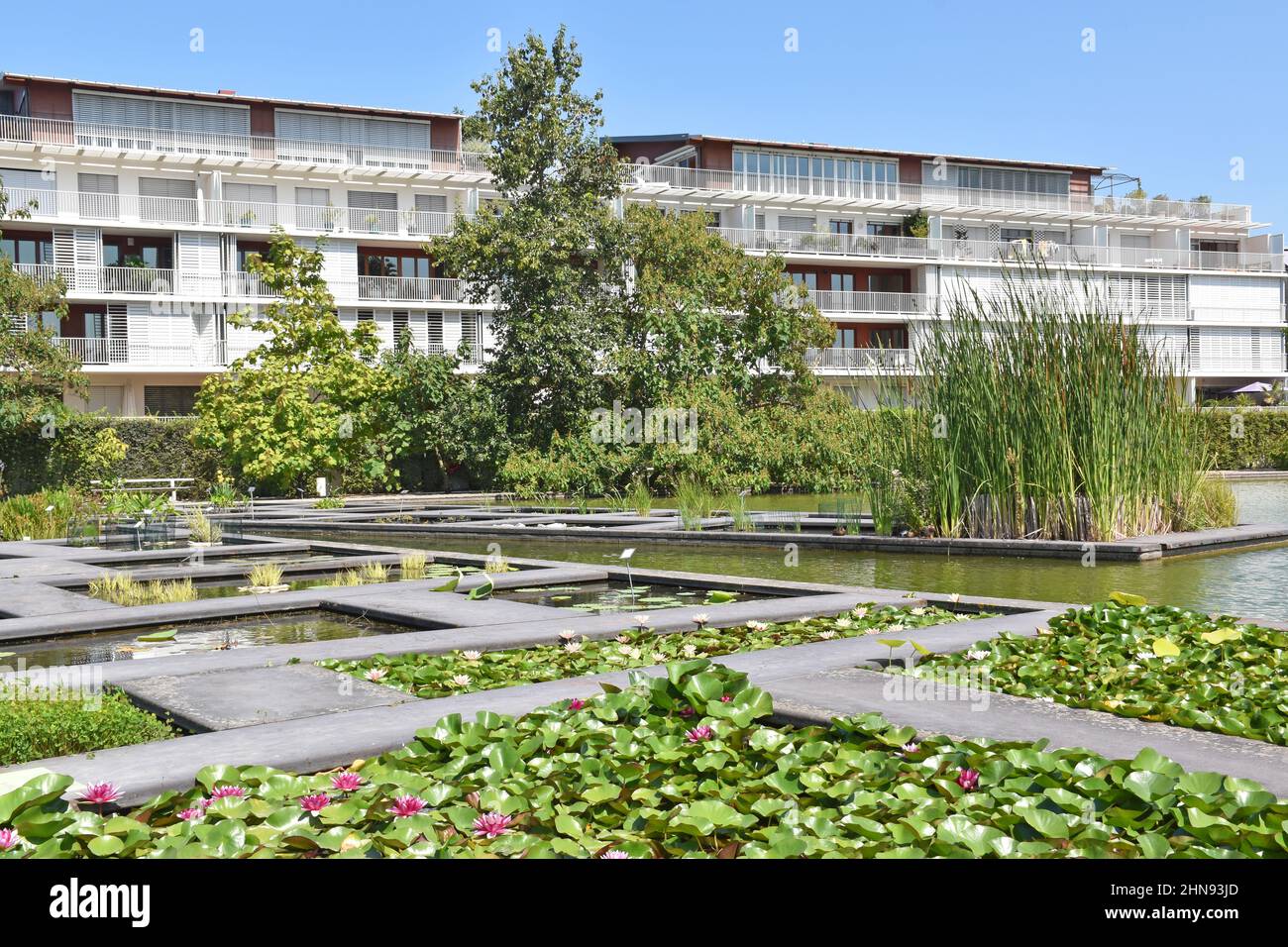 The new Jardin Botanique, Bordeaux, on a brownfield site close to the river Garonne, opened 2003, for scientific research, & as a pleasure garden Stock Photo