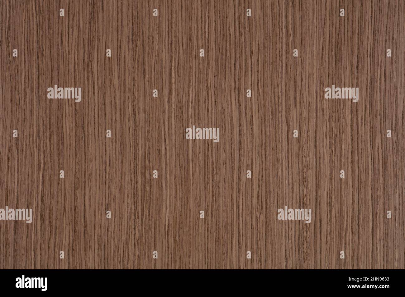Striped European Walnut veneer background, texture in grey tone for