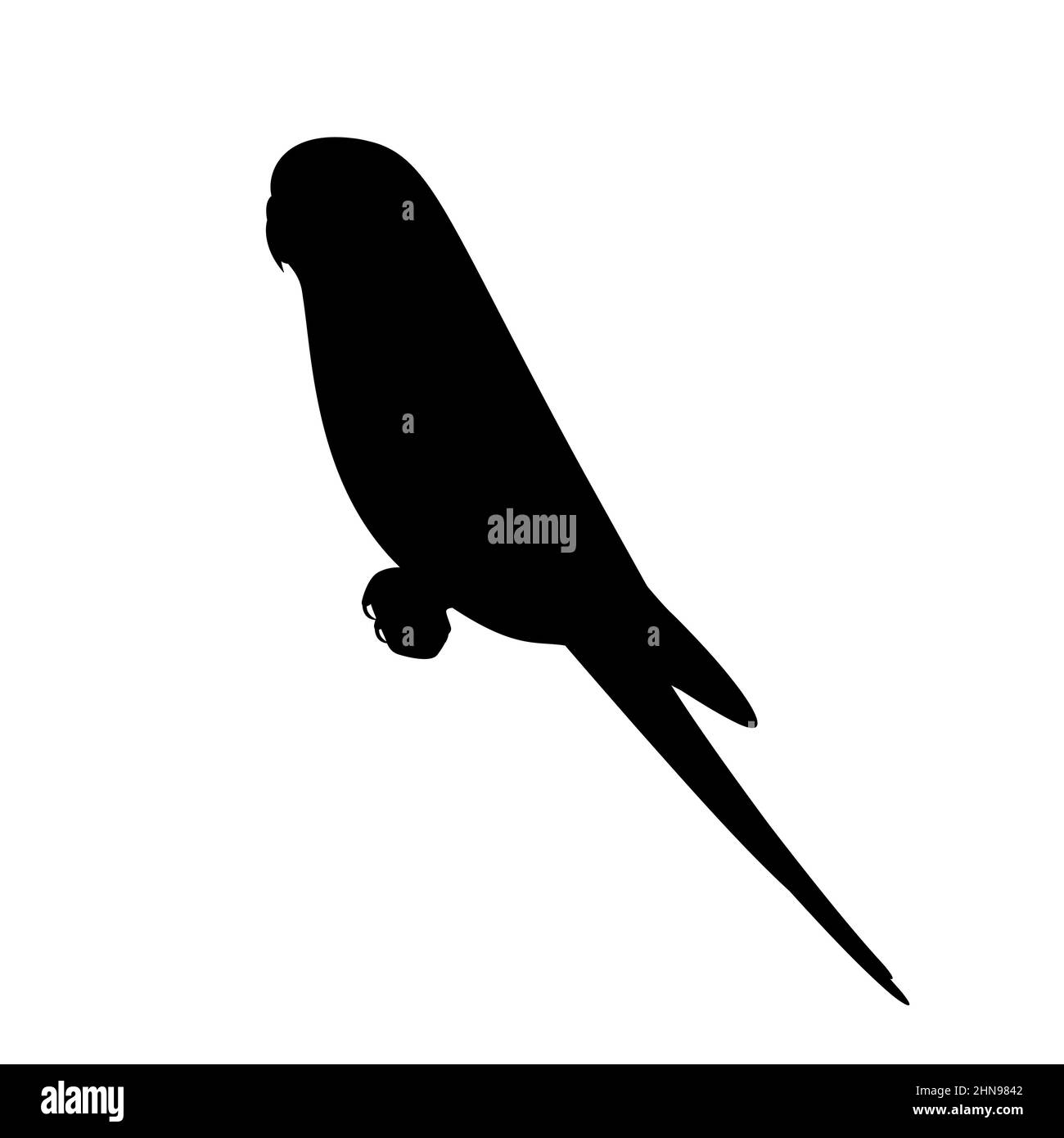 Silhouette of a sitting budgie. Vector illustration of a black silhouette logo icon of a Budgerigar parrot isolated on a white background. Stock Vector