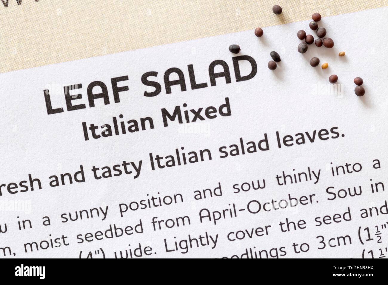 Italian mixed leaf salad seeds Stock Photo Alamy