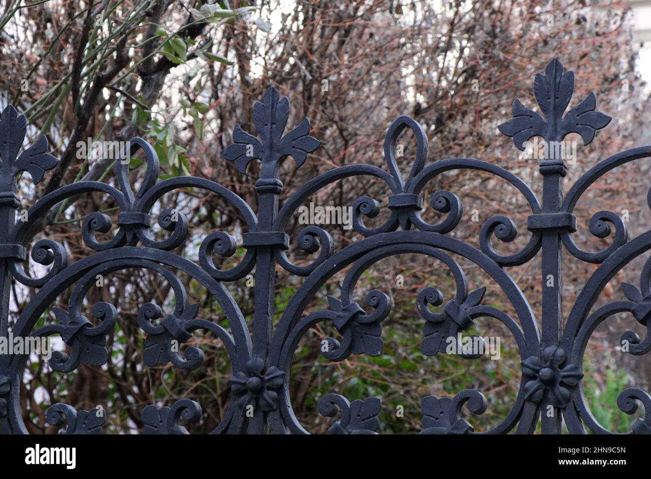 Wrought iron fence. Decorative wrought iron fence. Metal fashion fence Stock Photo Alamy