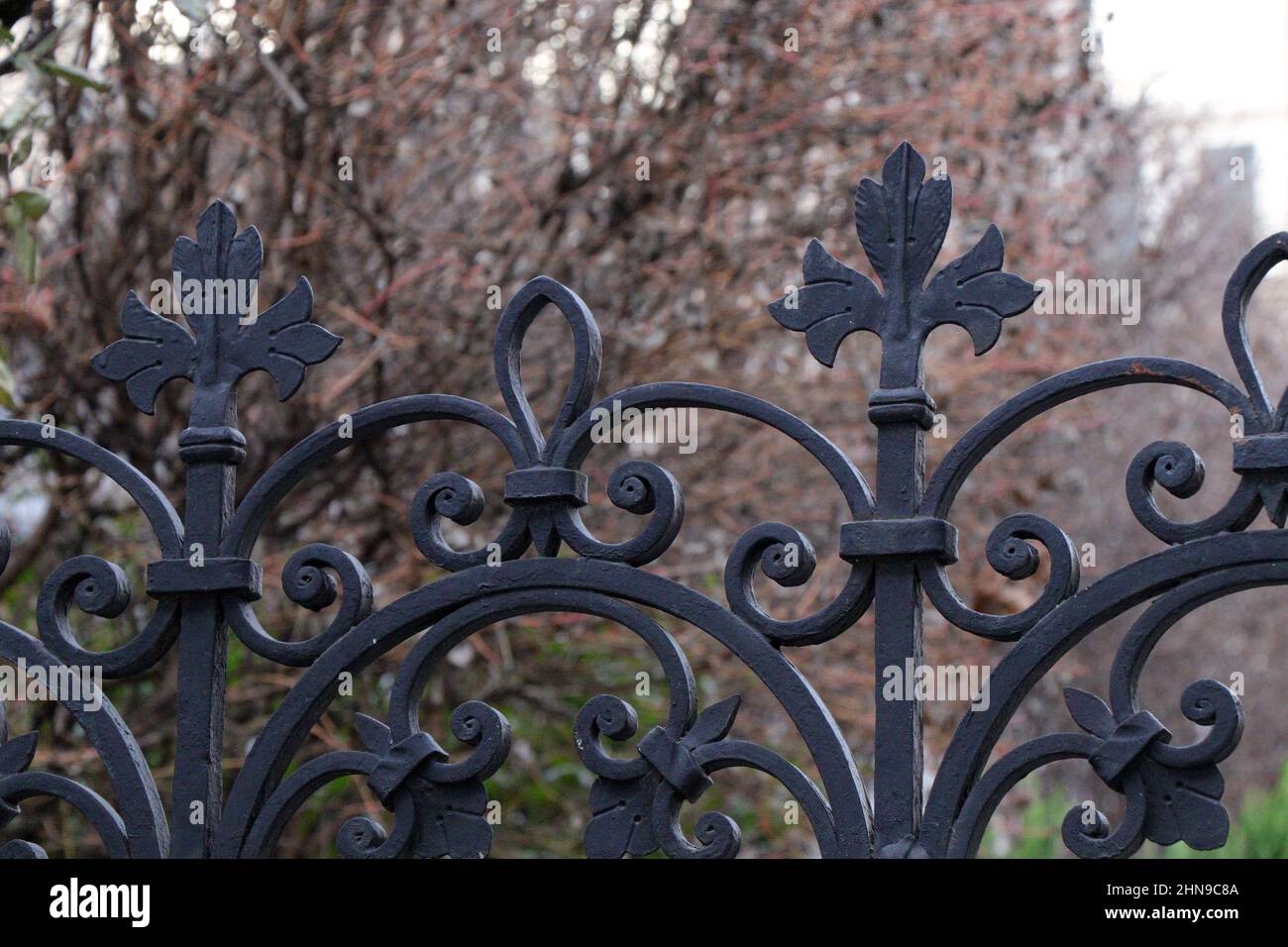 Wrought iron fence. Decorative wrought iron fence. Metal fashion fence ...