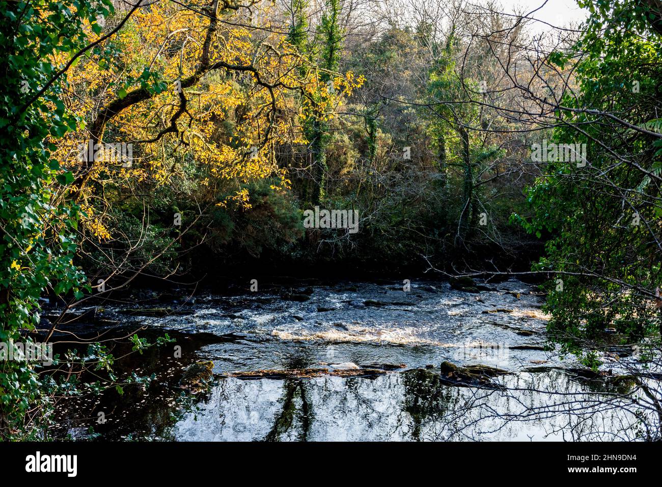 Oily River, Bruckless, County Donegal, Ireland in autumn or fall. Stock Photo