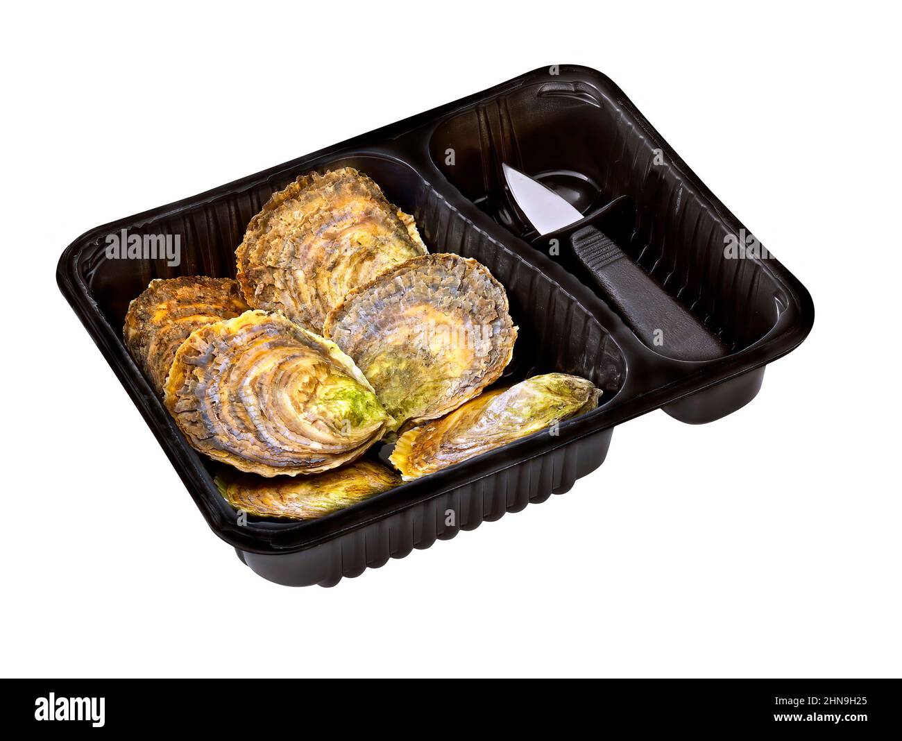 oyster with knife in a plastic tray isolated on white Stock Photo