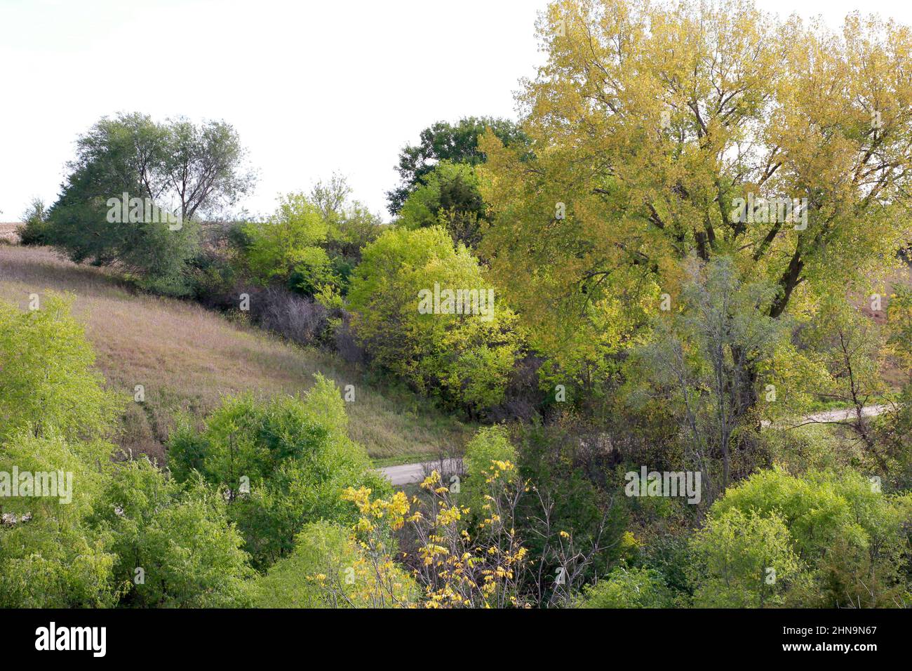 Dog Creek Park near Sutherland, Iowa Stock Photo Alamy