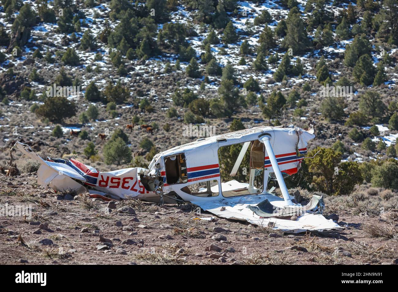 Small plane wreck after experiencing engine failure Stock Photo - Alamy