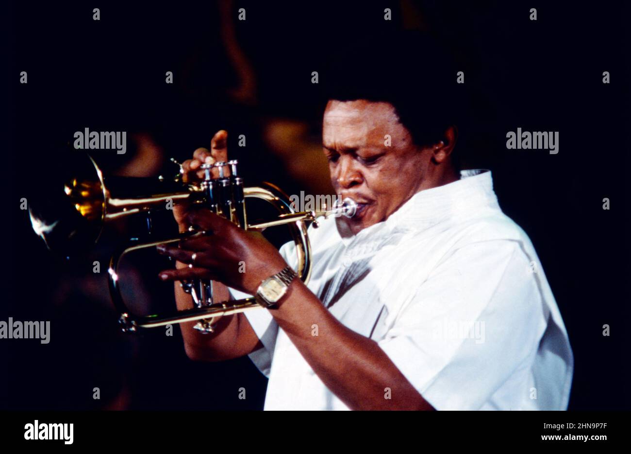 Hugh Masekela, auch bekannt als Bra Hugh, Jazzmusiker, Trompeter, Flügelhornist und Kornettist aus Südafrika, hier bei einem Auftritt in der ZDF Unterhaltungssendung: Show und Co mit Carlo, 1984. Hugh Masekela, also known as Bra Hugh, jazz musician, trumpeter, flugelhorn player and cornet player from South Africa, here performing in the ZDF entertainment programme: Show und Co mit Carlo, 1984. Stock Photo